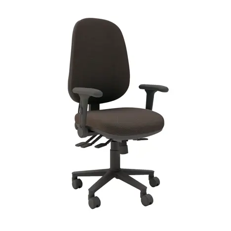 Multi-functional High Back Task Chair - Black Base - Folding Arms - Ralstone